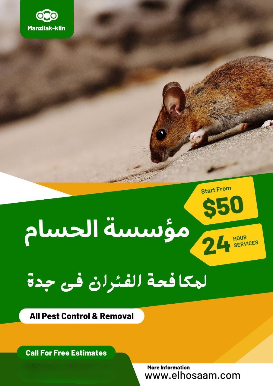 شركة مكافحة فئرن بجدة 